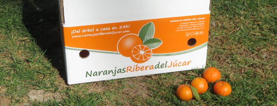 Diseño Caja Naranjas Rivera del Júcar